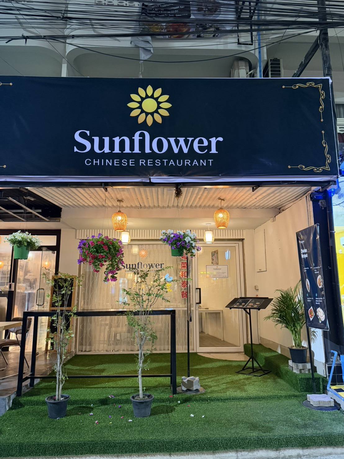 sunflower night front